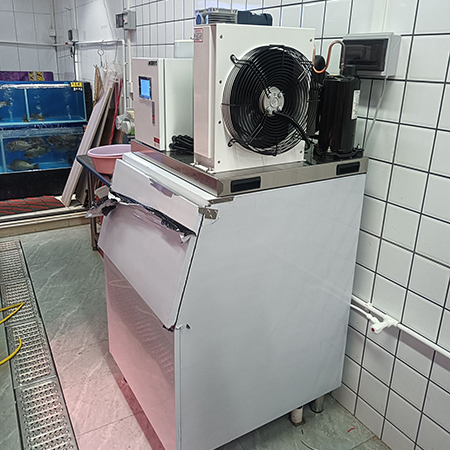 400公斤片冰機交付鄭州某水產(chǎn)海鮮店